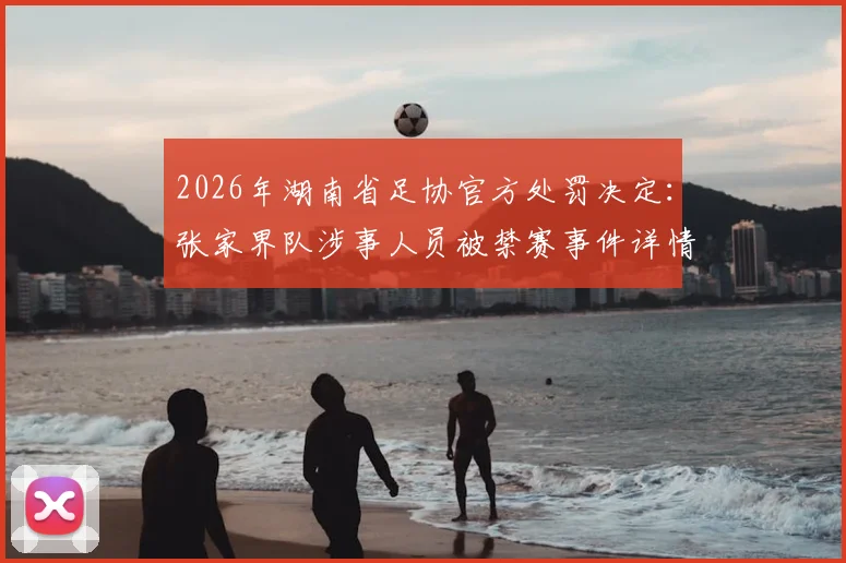 2026年湖南省足协官方处罚决定：张家界队涉事人员被禁赛事件详情与后续处理分析