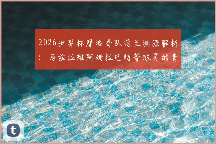 2026世界杯摩洛哥队荷兰渊源解析：马兹拉维阿姆拉巴特等球员的青训背景与双重文化影响